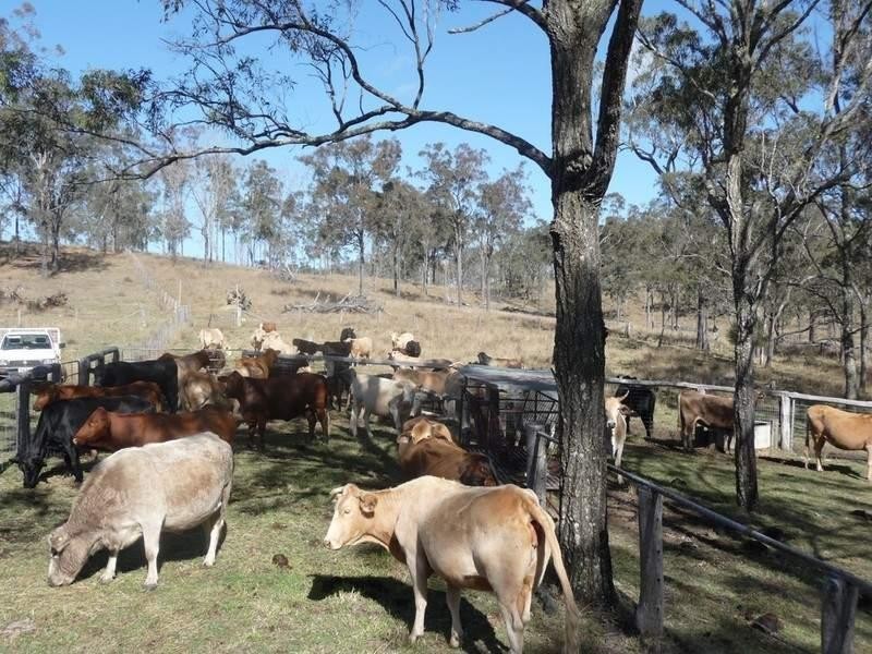 5224/ New England Highway, Crows Nest QLD 4355