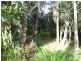 209 Pechey Forestry Road, Crows Nest QLD 4355