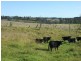 209 Pechey Forestry Road, Crows Nest QLD 4355