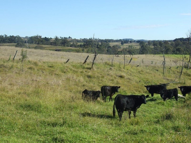 209 Pechey Forestry Road, Crows Nest QLD 4355