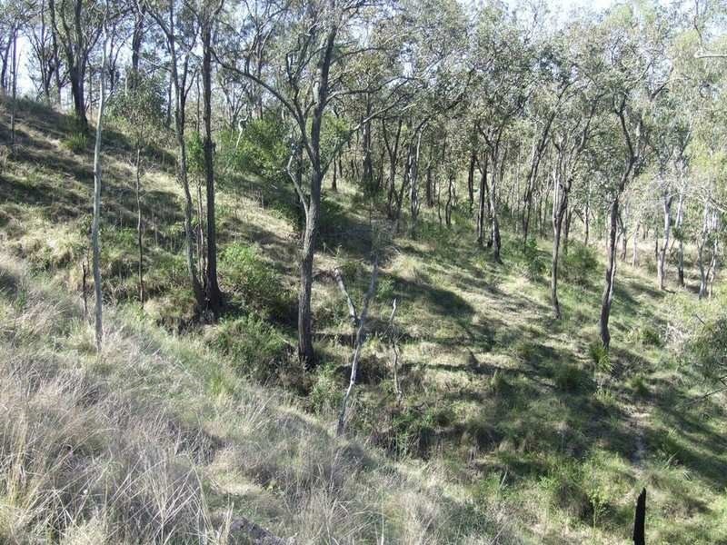 Lot 11 Cooyar Rangemore Road, Cooyar QLD 4402