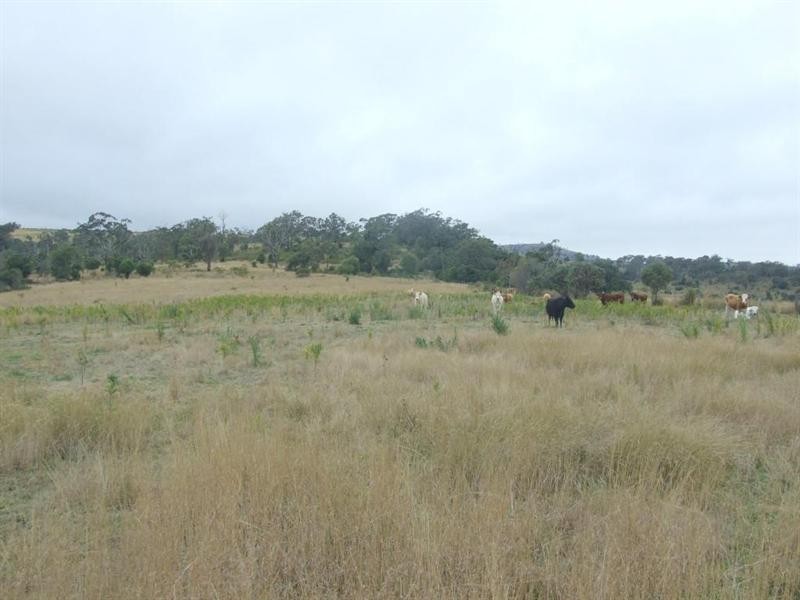 568 Douglas Plainby Road, Goombungee QLD 4354