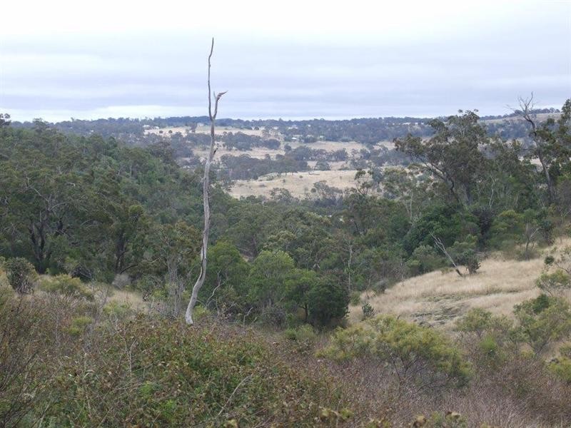 568 Douglas Plainby Road, Goombungee QLD 4354