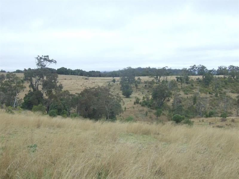 568 Plainby Douglas Road, Crows Nest QLD 4355