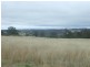 568 Plainby Douglas Road, Crows Nest QLD 4355