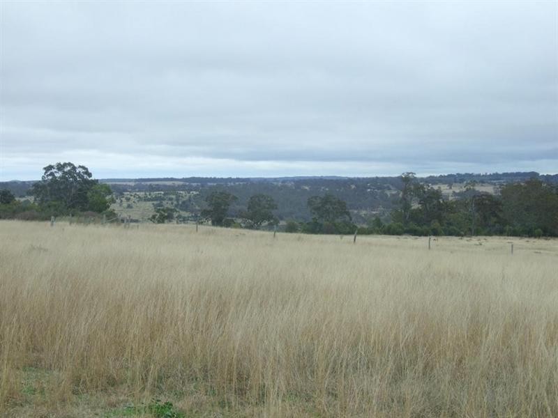 568 Plainby Douglas Road, Crows Nest QLD 4355