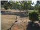 Plainland QLD 4341