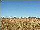 Placid Hills QLD 4343