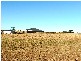 Placid Hills QLD 4343