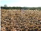 Placid Hills QLD 4343