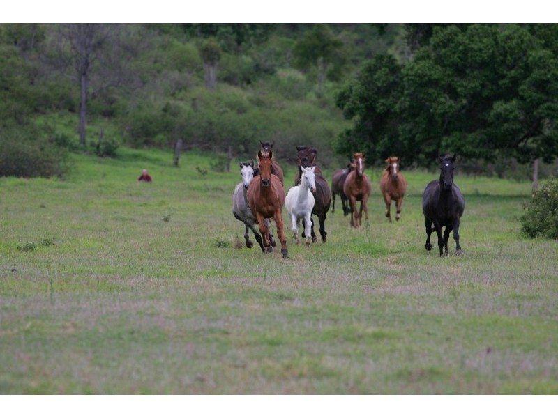Upper Tenthill QLD 4343