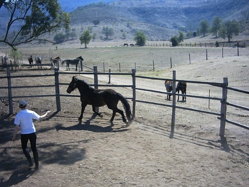 Upper Tenthill QLD 4343