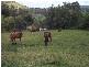 Upper Tenthill QLD 4343