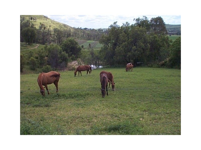 Upper Tenthill QLD 4343