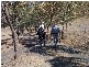 Upper Tenthill QLD 4343