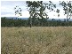 Gatton QLD 4343