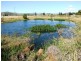 476 Mt Sylvia Road, Upper Tenthill QLD 4343