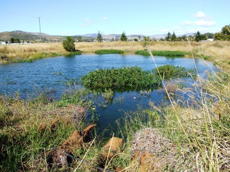 476 Mt Sylvia Road, Upper Tenthill QLD 4343