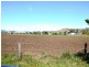 476 Mt Sylvia Road, Upper Tenthill QLD 4343