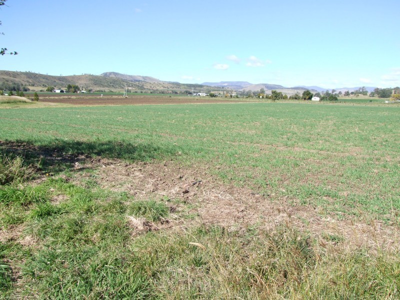 476 Mt Sylvia Road, Upper Tenthill QLD 4343