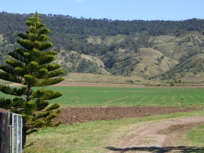 476 Mt Sylvia Road, Upper Tenthill QLD 4343