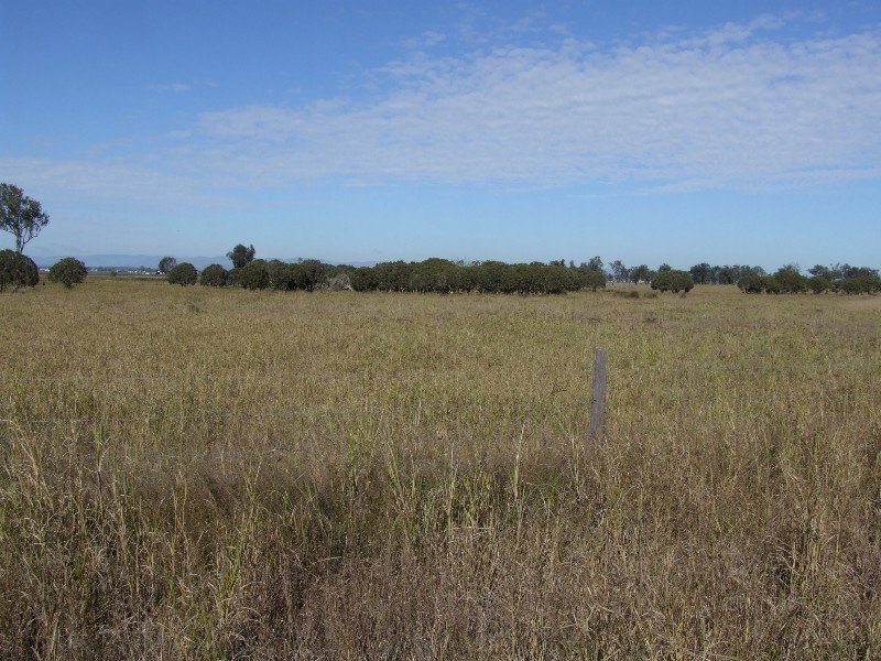 Morton Vale QLD 4343