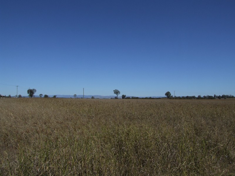 Morton Vale QLD 4343