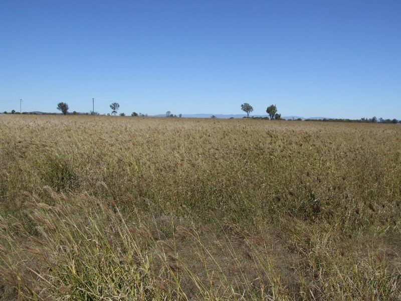 Morton Vale QLD 4343