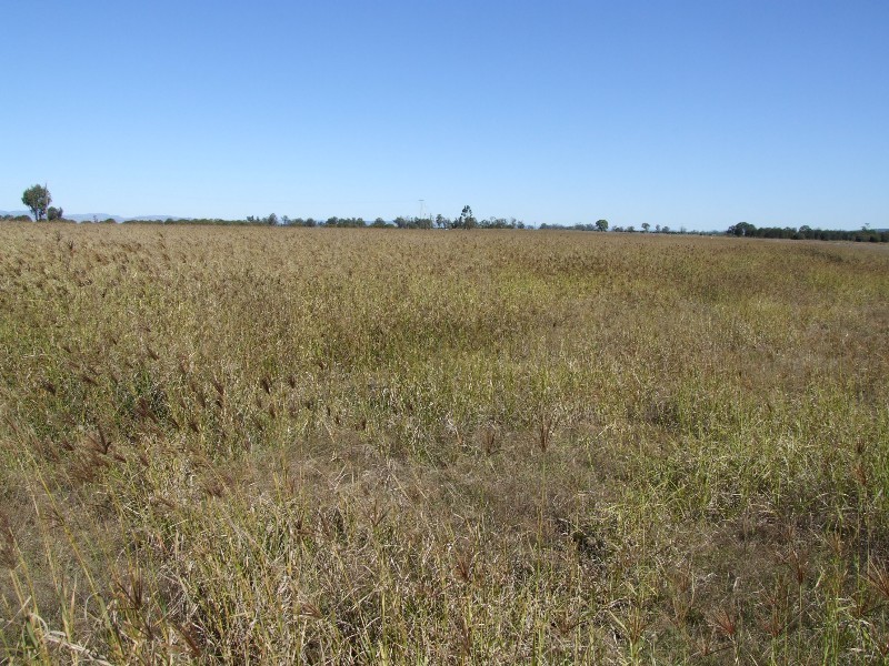 Morton Vale QLD 4343