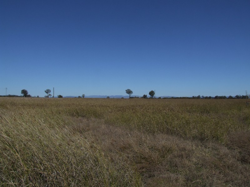 Morton Vale QLD 4343