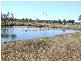Lockyer Waters QLD 4311