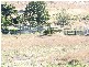 Ropeley QLD 4343