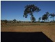 Gatton QLD 4343