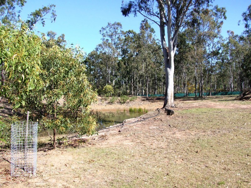 Placid Hills QLD 4343