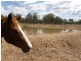 Placid Hills QLD 4343