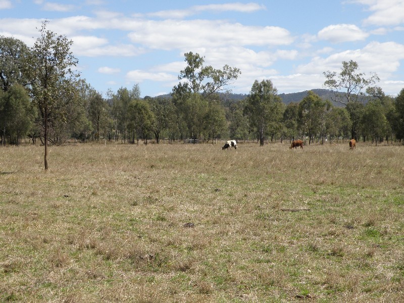 Gatton QLD 4343
