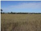 Morton Vale QLD 4343