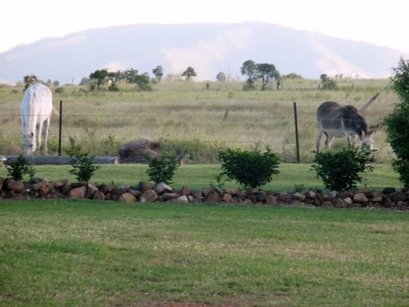 Gatton QLD 4343