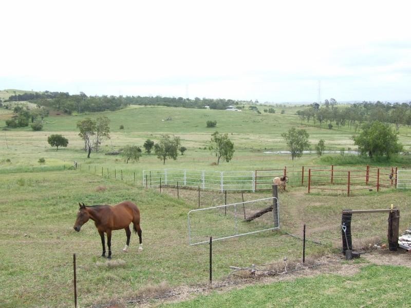 Gatton QLD 4343