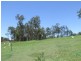 Gatton QLD 4343
