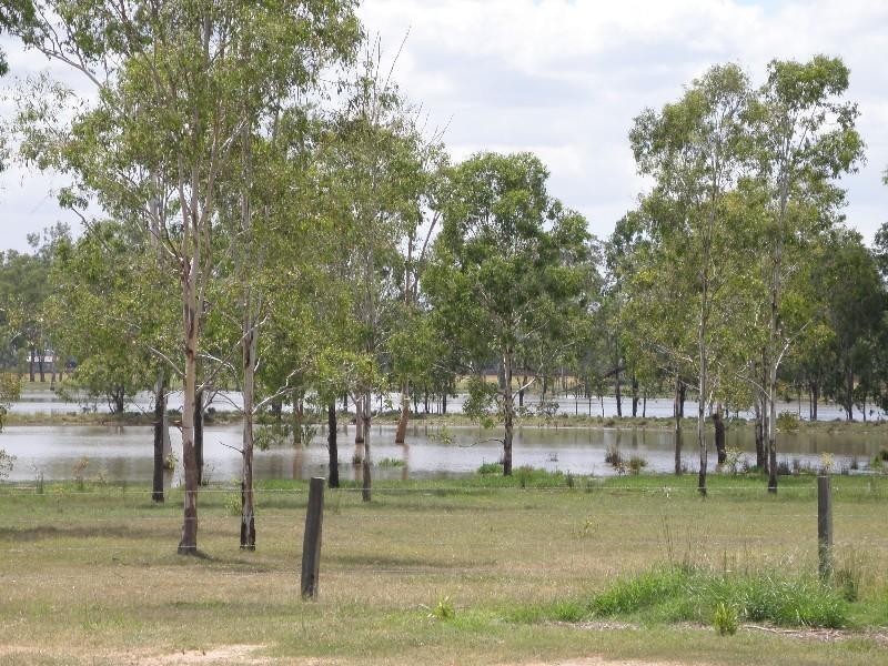 Gatton QLD 4343