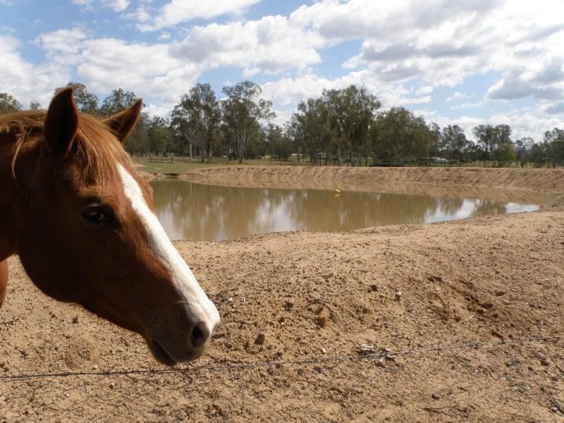 Placid Hills QLD 4343