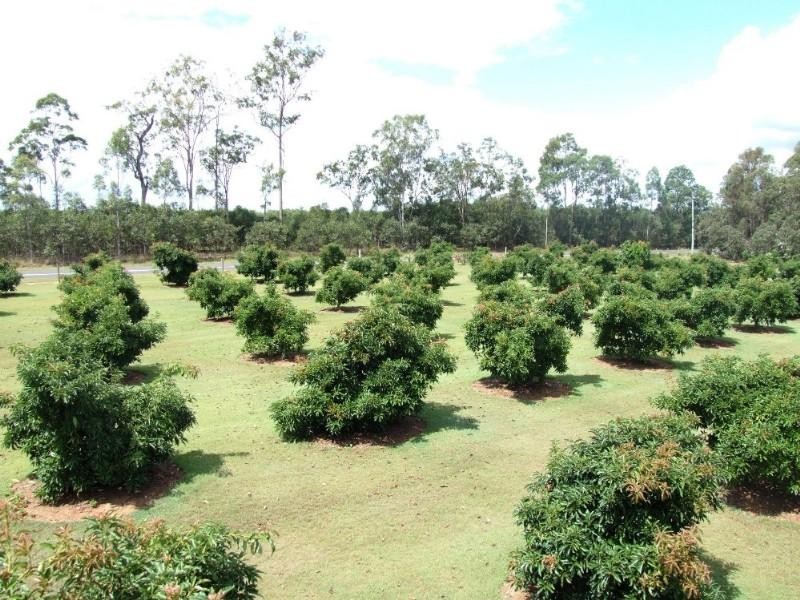 1331 Gatton Esk Road, Spring Creek QLD 4343