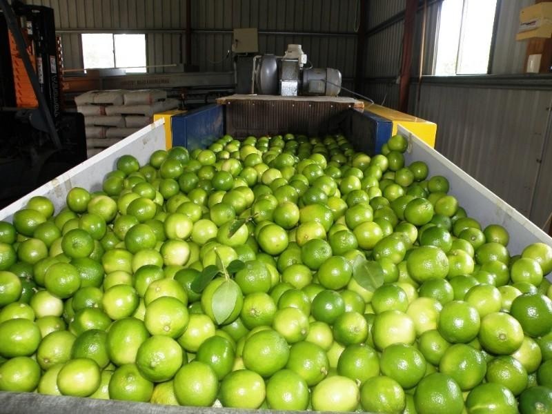 1331 Gatton Esk Road, Spring Creek QLD 4343