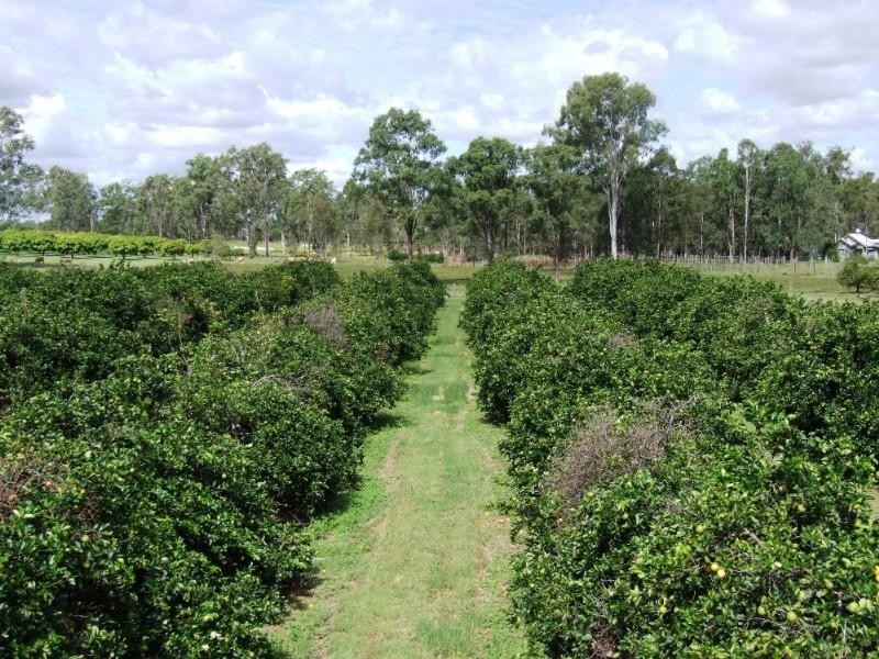 1331 Gatton Esk Road, Spring Creek QLD 4343