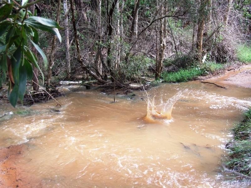 1331 Gatton Esk Road, Spring Creek QLD 4343