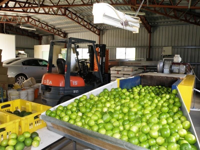 1331 Gatton Esk Road, Spring Creek QLD 4343