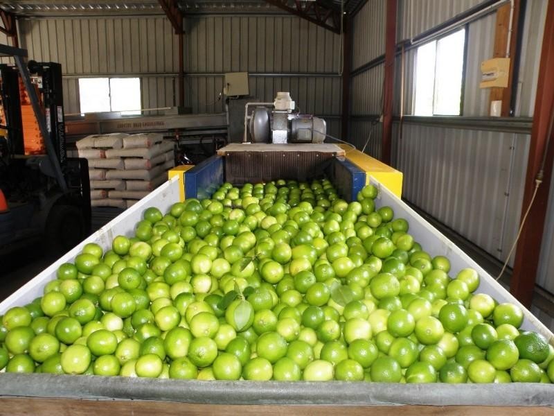 1331 Gatton Esk Road, Spring Creek QLD 4343