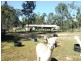 Gatton QLD 4343