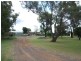 Gatton QLD 4343